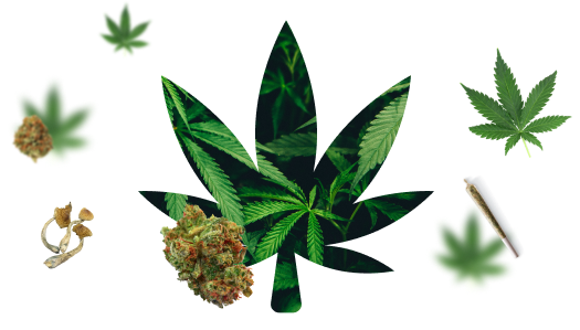 //cannabuzzexpress.ca/wp-content/uploads/2023/03/Group-51.png